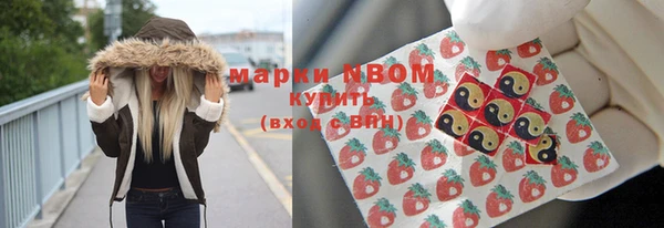 хмурый Белокуриха