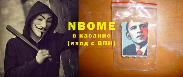 хмурый Белокуриха
