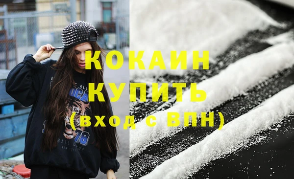хмурый Белокуриха