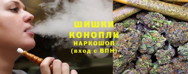 хмурый Белокуриха