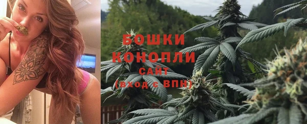 хмурый Белокуриха