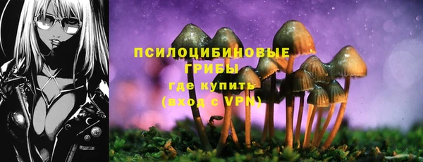 дживик Беломорск