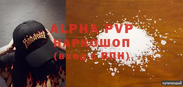 хмурый Белокуриха