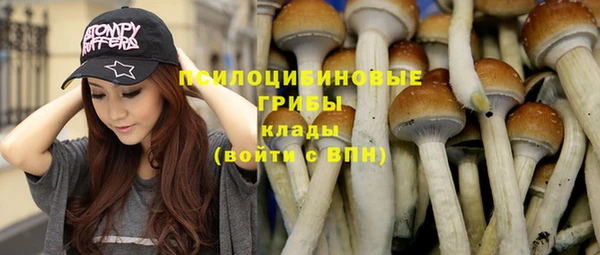 хмурый Белокуриха