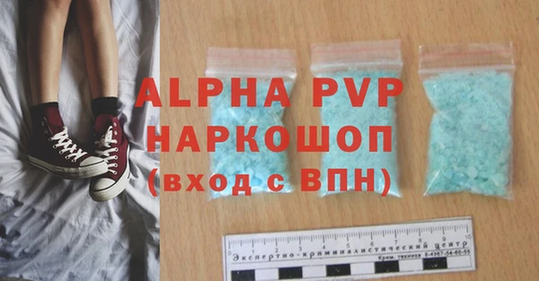 хмурый Белокуриха