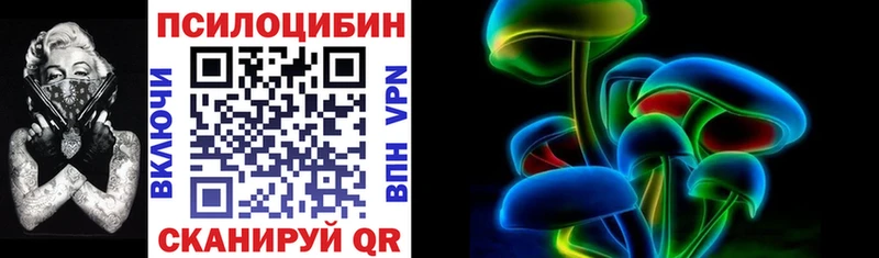 Купить где  Олонец  Псилоцибиновые грибы ЛСД 