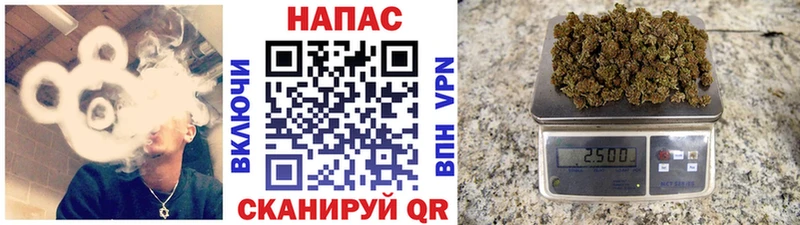 Купить где  Олонец  Бошки Шишки гибрид 